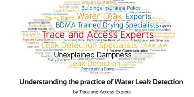 Understanding Water Leak Detection by Trace and Access Experts