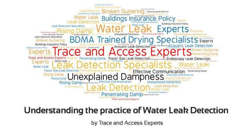 Understanding Water Leak Detection by Trace and Access Experts