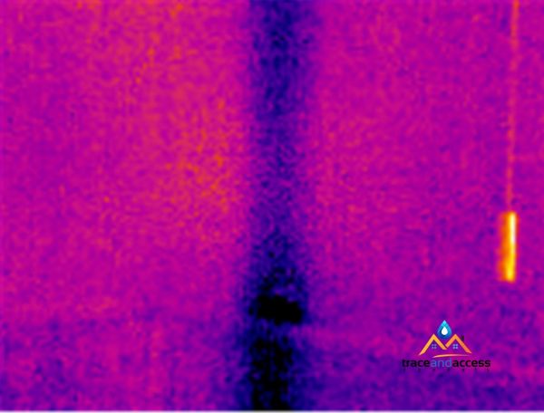 CS Thermal Detection image 2