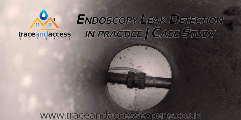 Endoscopy Leak Detection Case Study Banner by Trace and Access Experts