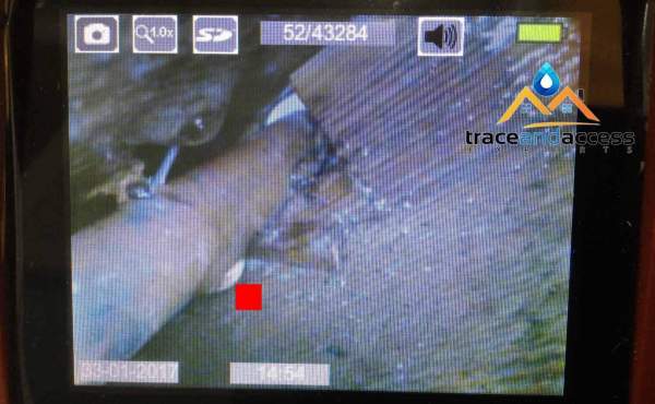 Endoscopy Leak Detection camera image no2 by Trace and Access Experts