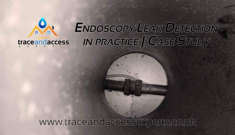 Endoscopy Leak Detection Case Study Banner by Trace and Access Experts