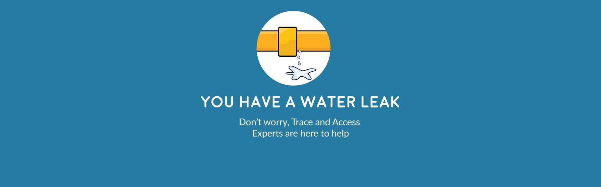 Hidden or unexplained water leak. You need a trace and access leak detection specialists