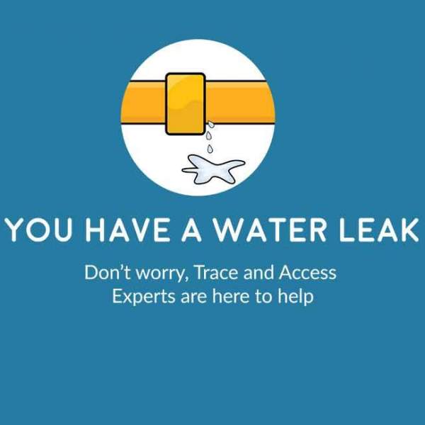 Hidden or unexplained water leak. You need a trace and access leak detection specialists